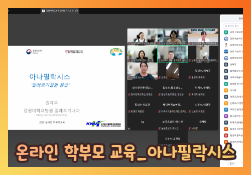 갤러리